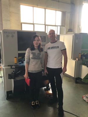 Европейская дверь или шкаф крышка угол угол CNC формовочная машина Формирование резка один раз